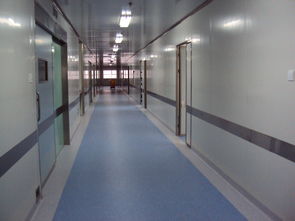 沈阳呼和浩特医院净化工程如何进行使用？